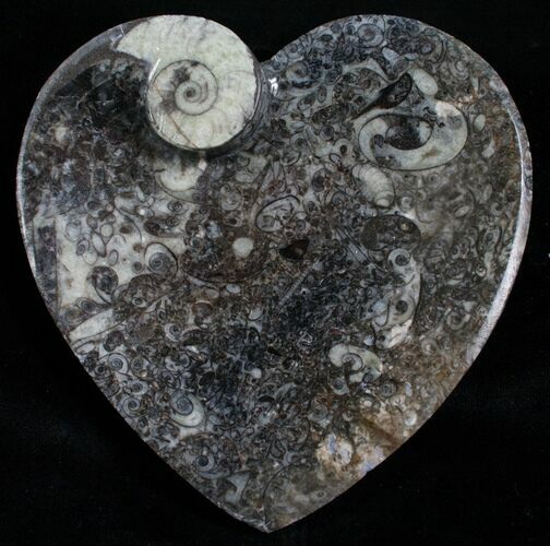 Heart Shaped Fossil Goniatite Dish #4951